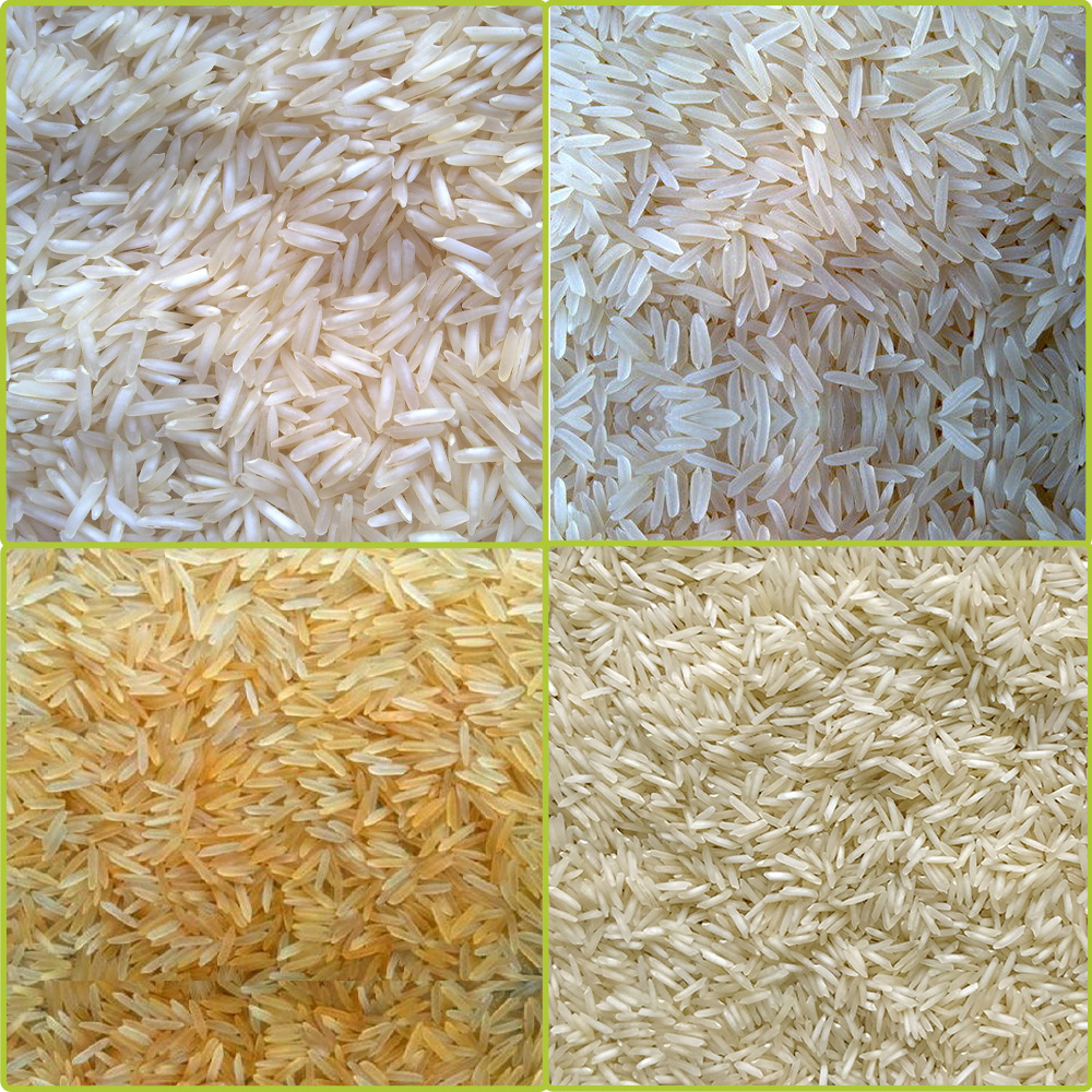 1121 Basmati Rice in Netherlands