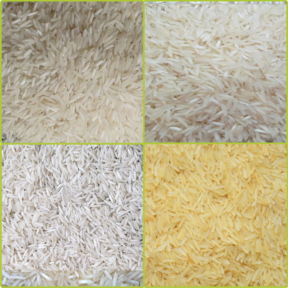 1401 Basmati Rice in Netherlands