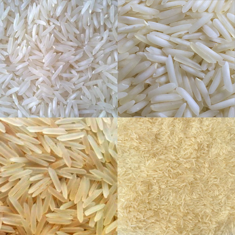 Pusa Basmati Rice in Belgium