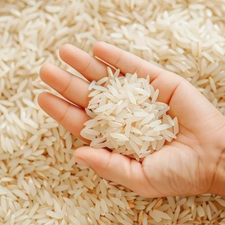 Rice Exporter From India To Sweden