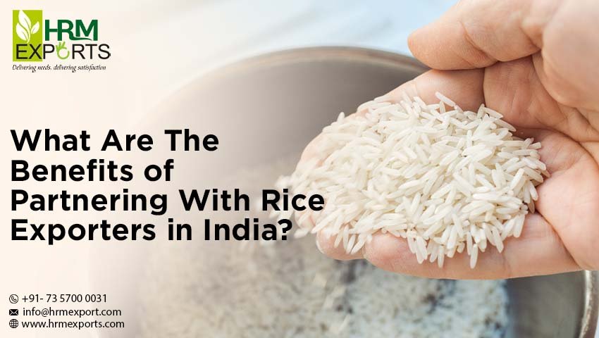 What Are The Benefits of Partnering With Rice Exporters in India?