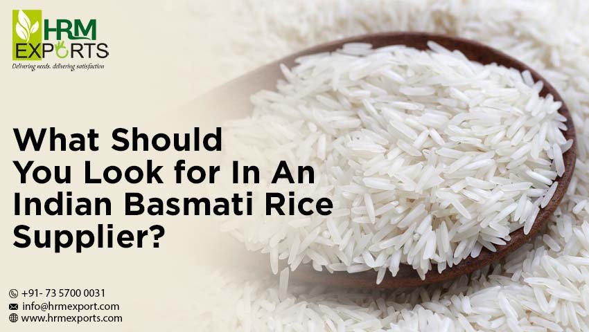 What Should You Look for In An Indian Basmati Rice Supplier?