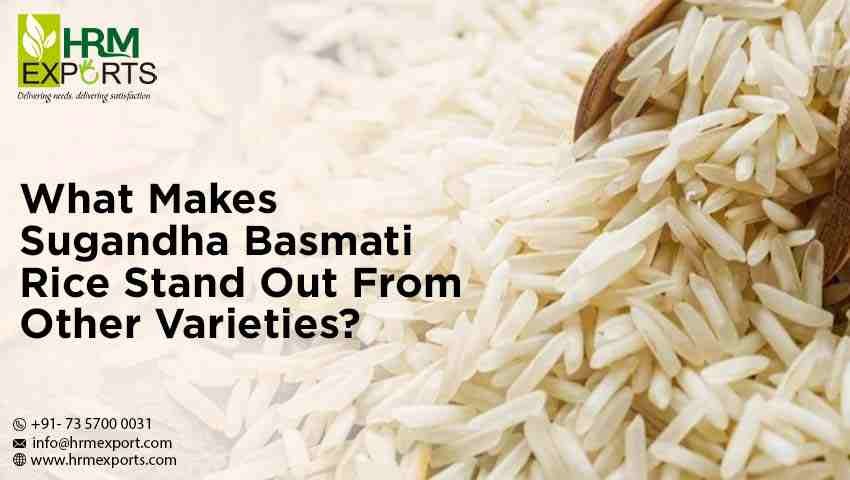 What Makes Sugandha Basmati Rice Stand Out From Other Varieties?